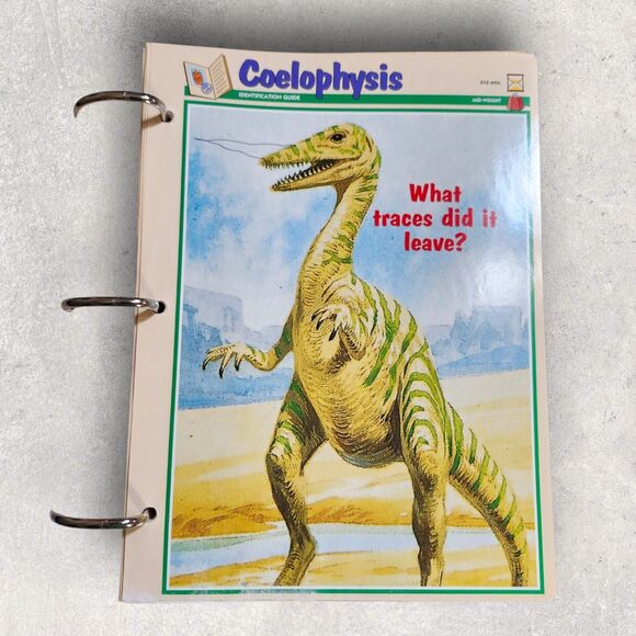 Set of 2 Newfield Dinosaur Collector Card Binders 3-Ring Full Sets Vintage Learn - Picture 11 of 11